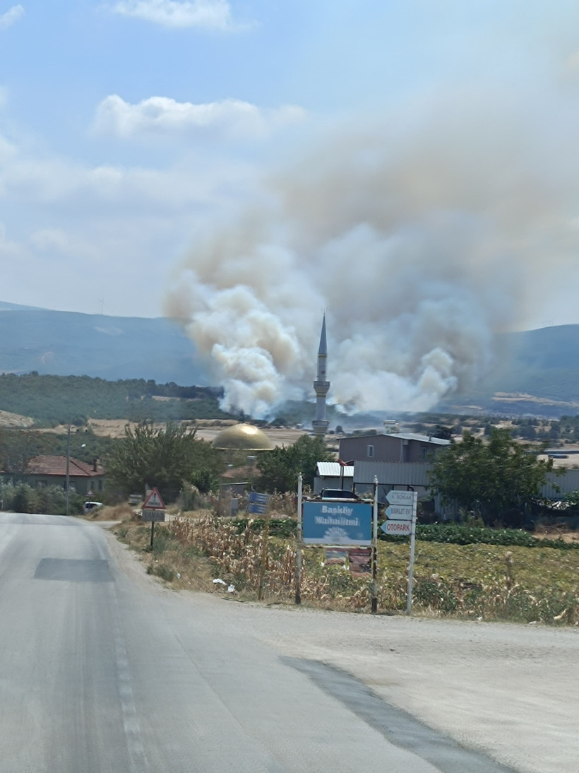 Bursa’da orman yangını - Resim : 1