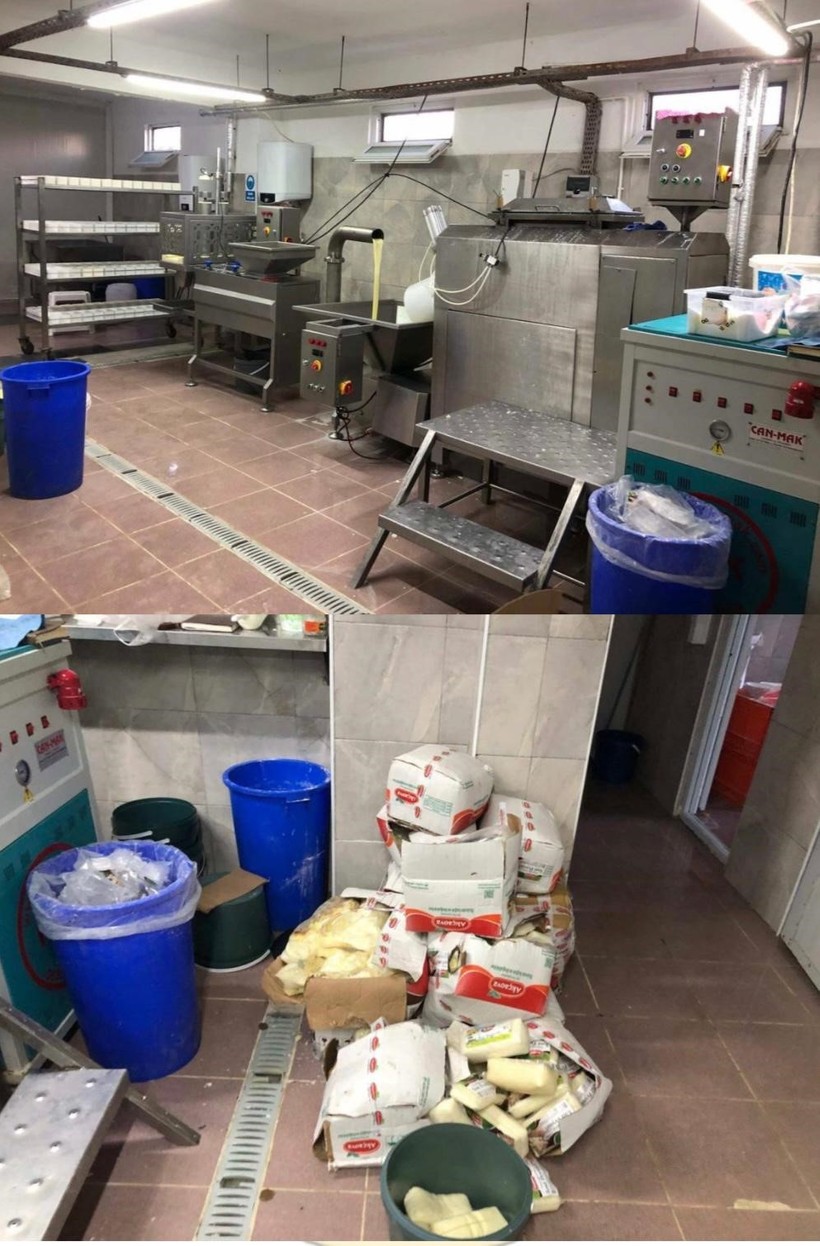 Sakarya’da 1,5 milyonluk sahte kaşar peyniri operasyonu - Resim : 1