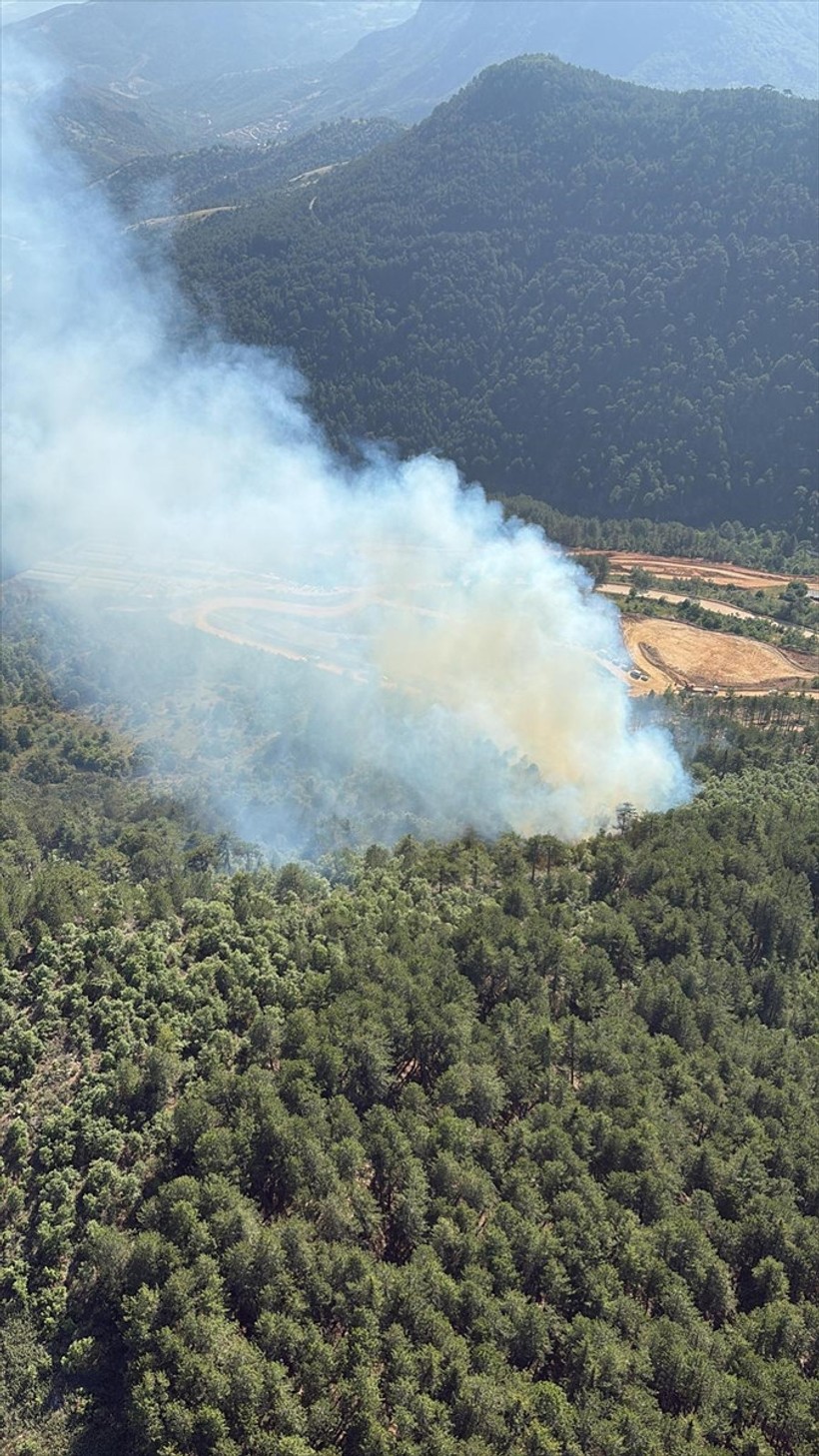 Balıkesir'de çıkan orman yangını zeytinliklere sıçradı - Resim : 1