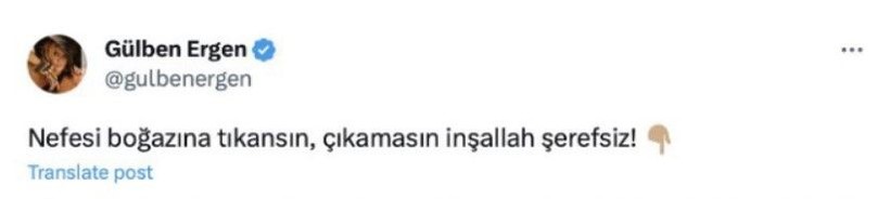 Gülben Ergen hızını alamadı! Atatürk'e saygısızlık yapan gence beddualar etti, tepki çekti - Resim: 4