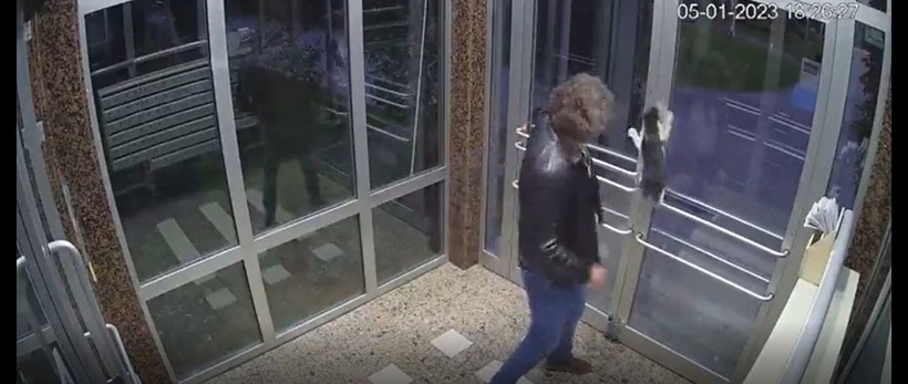 İstanbul Küçükçekmece'de sokak hayvanlarını dövüp, mamalarına çamaşır suyu kattı - Resim: 4