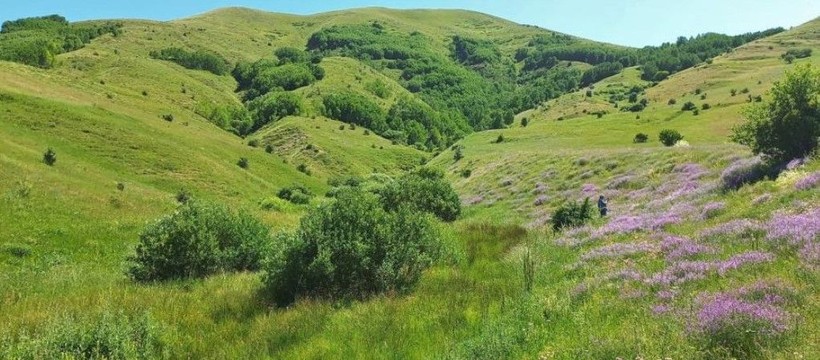 Bayburt ve Erzincan'da heyecanlandıran petrol keşfi! 'Rus petrollerine eşdeğer' - Resim: 5