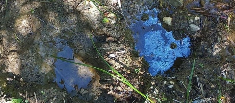 Bayburt ve Erzincan'da heyecanlandıran petrol keşfi! 'Rus petrollerine eşdeğer' - Resim: 2
