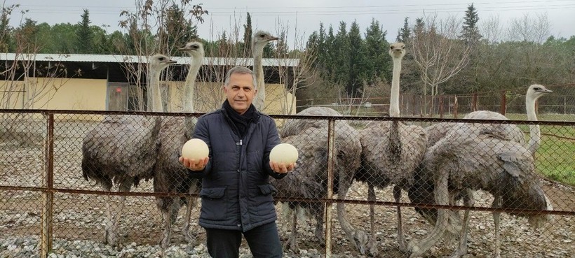 Mevsim normallerinin üzerinde seyreden havalar her şeyi etkilediği gibi onları da etkiledi! Şimdiden yumurtladılar... - Resim: 6