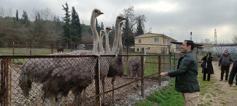 Mevsim normallerinin üzerinde seyreden havalar her şeyi etkilediği gibi onları da etkiledi! Şimdiden yumurtladılar... - Resim: 3