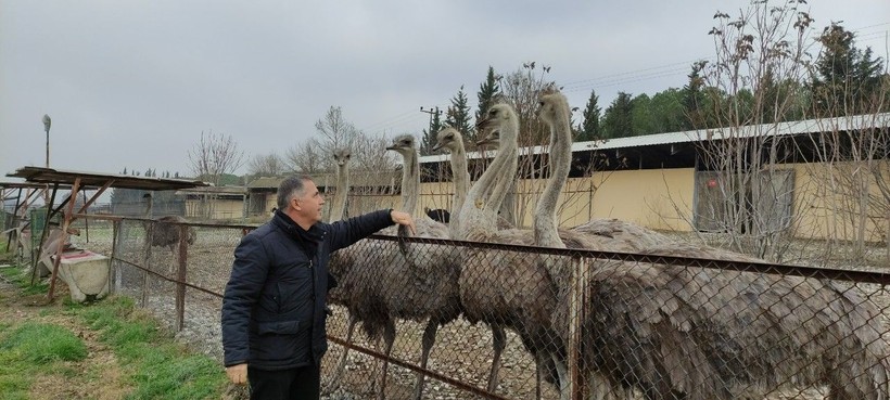 Mevsim normallerinin üzerinde seyreden havalar her şeyi etkilediği gibi onları da etkiledi! Şimdiden yumurtladılar... - Resim: 4