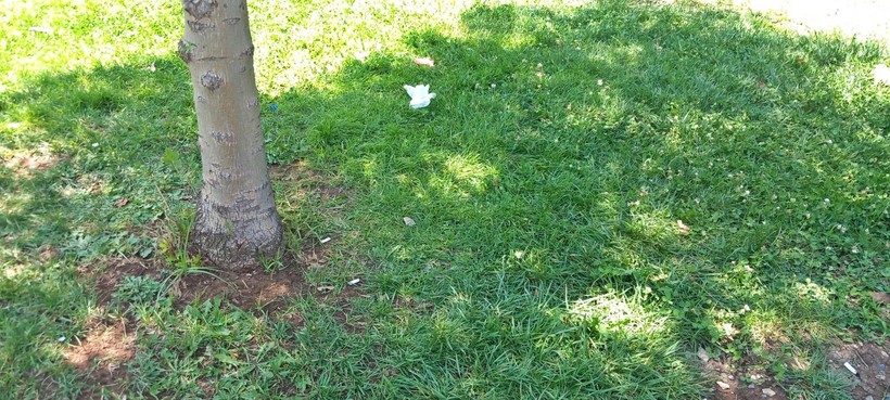 KPSS'nin ikinci oturumunu beklerken başına yorgun mermi isabet etti! Rabia'nın sessiz çığlığı: Emeklerim boşa gitti - Resim: 8