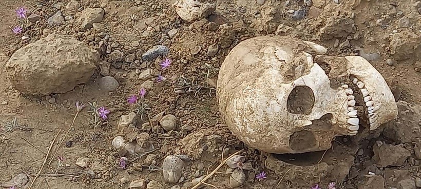 Gümüşhane'de bir garip olay! Yol ortasında insan kafatası bulundu - Resim: 2