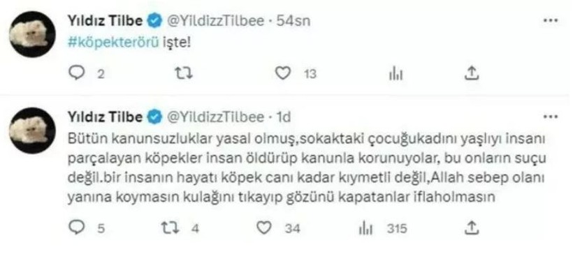 Ünlü şarkıcı Yıldız Tilbe bu sözleriyle sosyal medyanın gündemine oturdu: İnsan hayatı bütün canlılardan daha önemlidir - Resim: 8