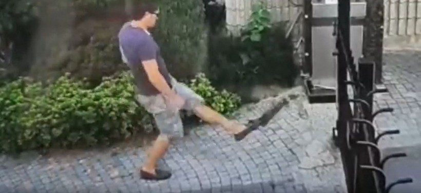 İstanbul Küçükçekmece'de sokak hayvanlarını dövüp, mamalarına çamaşır suyu kattı - Resim: 3