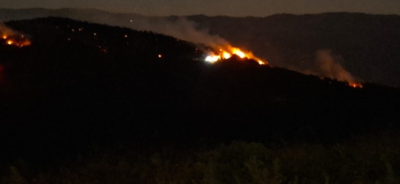 Manisa ve Uşak'ta orman yangını! Evler tahliye edildi, büyümeden söndürüldü - Resim: 2