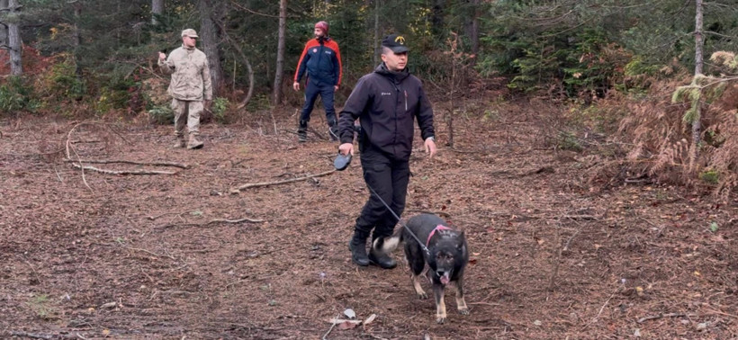 Kastamonu'da kayıp anne ve oğlunu arama çalışmaları 4'üncü günde - Resim: 5