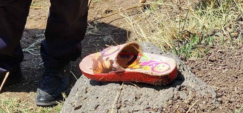 Narin'i arama çalışmaları 9. gününde! Adli Tıp raporundan çıkan sonuç hüsranla sonuçlandı - Resim: 5