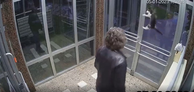 İstanbul Küçükçekmece'de sokak hayvanlarını dövüp, mamalarına çamaşır suyu kattı - Resim: 1