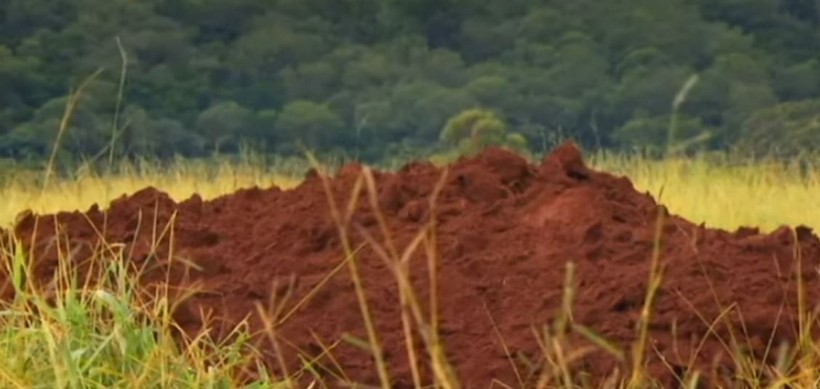 Karınca yuvasının içi ilk kez görüntülendi! 3 gün beton döktüler, otoban, bahçe ve binden fazla oda buldular - Resim: 7