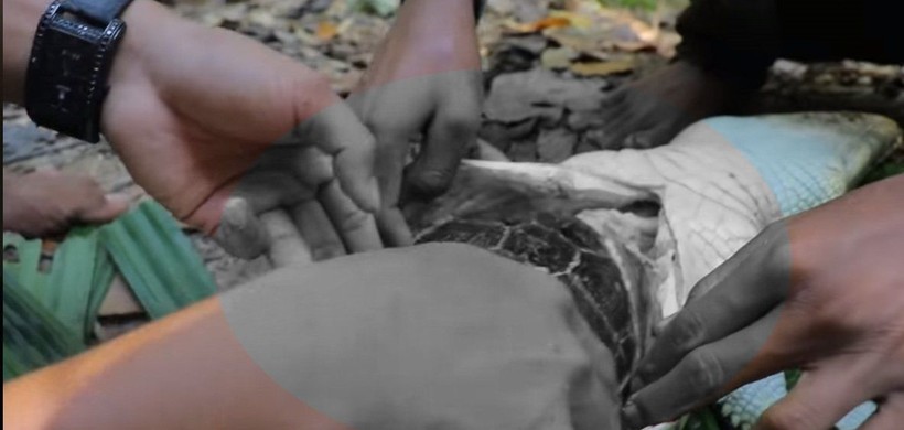 Kırdıkları beton yolun altından timsah çıktı! Gelen seslerin ardından ekipler harekete geçti | Gözlerine inanamadılar - Resim: 39