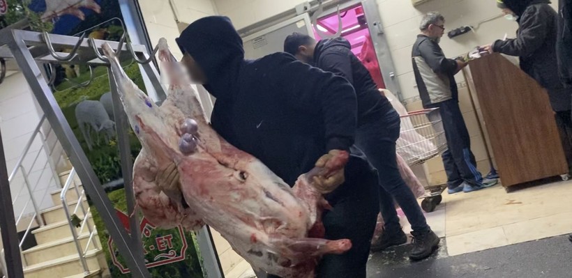 İstanbul'daki et halinde hijyen tartışması - Resim: 5