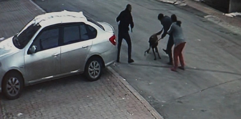 Sivas'ta misafirliğe giden anne ve çocuklarına köpek saldırdı - Resim : 1