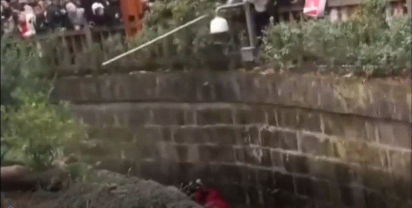 Aslan kafesine köpek bırakılırsa ne olur? Ziyaretçiler korku dolu gözlerle o anları izledi - Resim: 17