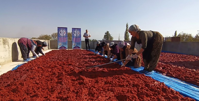 Depremzede kadınlar, üreterek hayata tutunuyor - Resim: 4