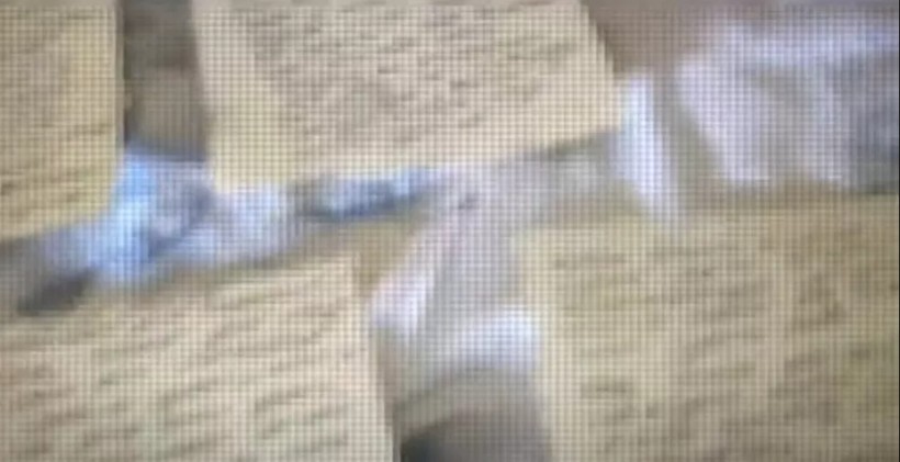 Adnan Oktar ve 'Kedicikler' paket olmuştu! Gözaltı sırasında çekilen görüntüler paylaşıldı - Resim: 14