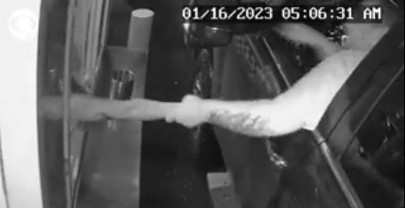 Amerika'da korkunç olay! Baristalık yapan genç kadını para uzatırken kaçırmaya çalıştı - Resim: 7