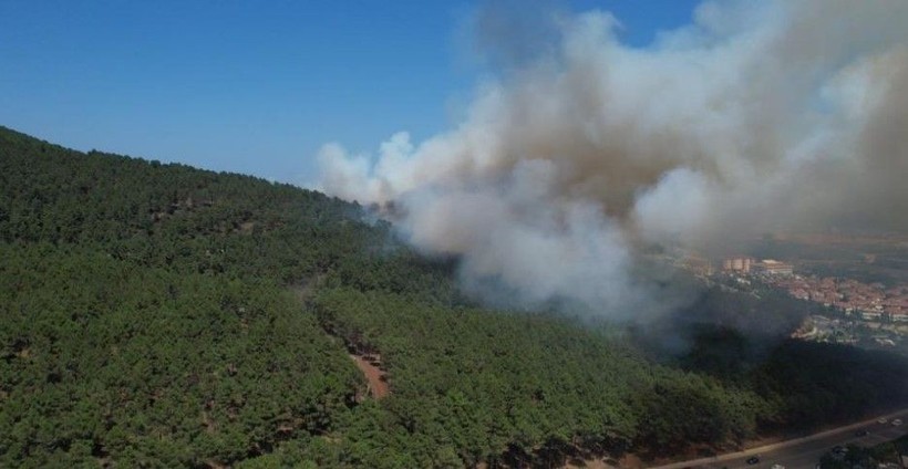 Aydos Ormanı'nda yangın çıktı - Resim: 6