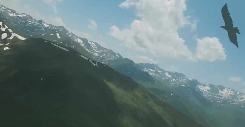 Doğan kuşunun drone avı! Daha önce böylesi görülmedi - Resim: 7