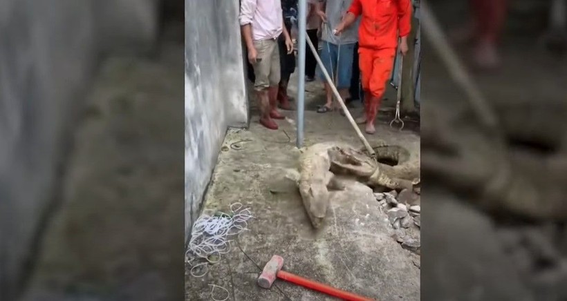 Kırdıkları beton yolun altından timsah çıktı! Gelen seslerin ardından ekipler harekete geçti | Gözlerine inanamadılar - Resim: 15