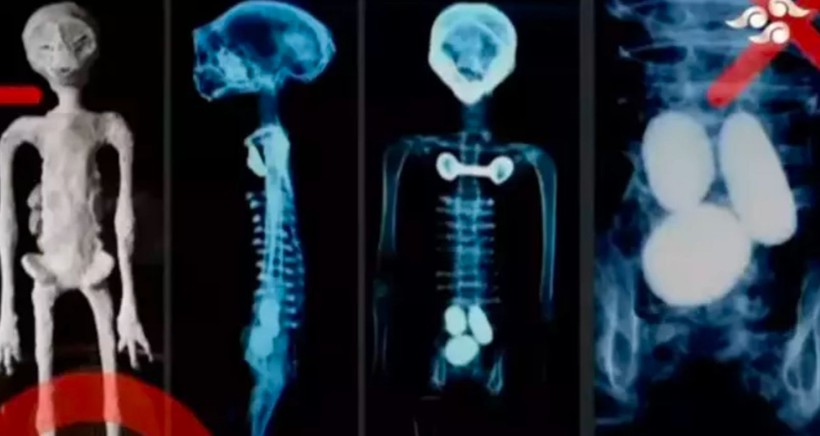 Meksika meclisinde sergilenen uzaylı fosillerine yalanlama geldi: DNA testi yapılmadı - Resim: 20