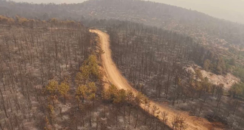 Bursa'daki orman yangını 4'üncü gününde; yanan alanlar dronla görüntülendi - Resim: 8