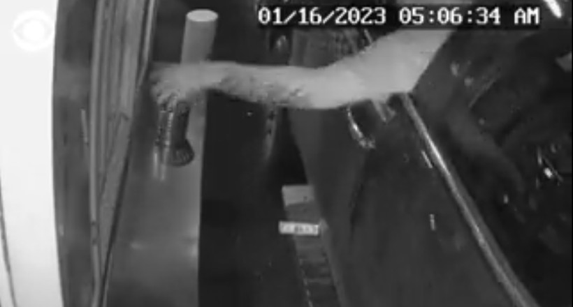 Amerika'da korkunç olay! Baristalık yapan genç kadını para uzatırken kaçırmaya çalıştı - Resim: 5