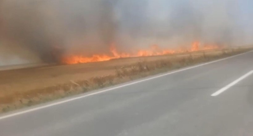 Tekirdağ'da 180 dönümlük buğday tarlası yandı! 3 kişi dumandan etkilendi - Resim: 1