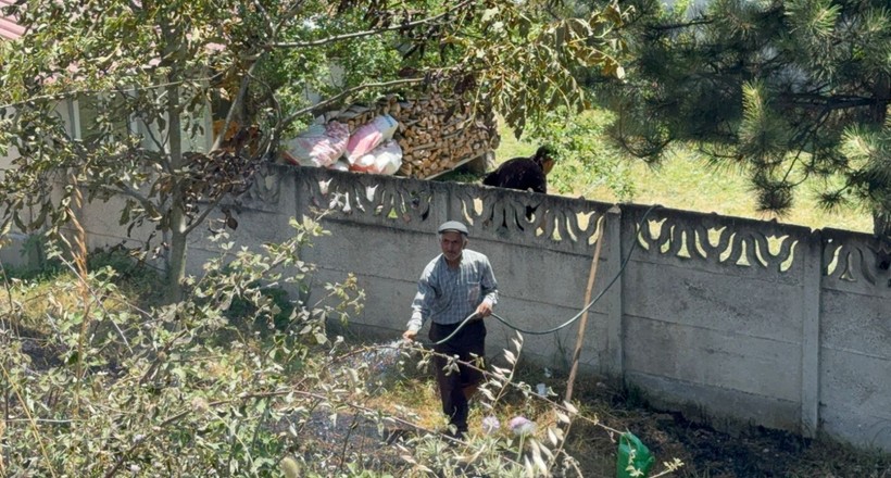Yol kenarına atılan şişe anız yangını çıkarttı - Resim: 2