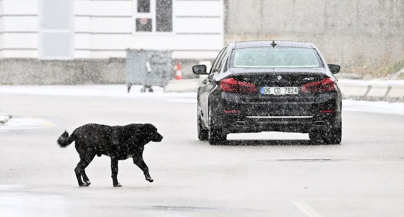 Başkent Ankara beyaz masalı yaşıyor! Yurt genelinden kar manzaraları ❄️☃️🧤 - Resim: 3