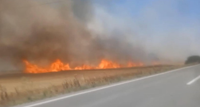 Tekirdağ'da 180 dönümlük buğday tarlası yandı! 3 kişi dumandan etkilendi - Resim: 13