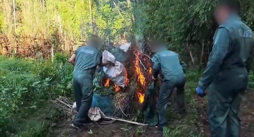 Dünya Miras Listesi'ndeki Hevsel Bahçeleri'nde 2 milyar TL'lik kenevir imha edildi - Resim: 10