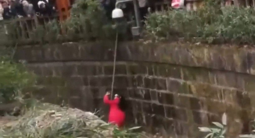 Aslan kafesine köpek bırakılırsa ne olur? Ziyaretçiler korku dolu gözlerle o anları izledi - Resim: 18