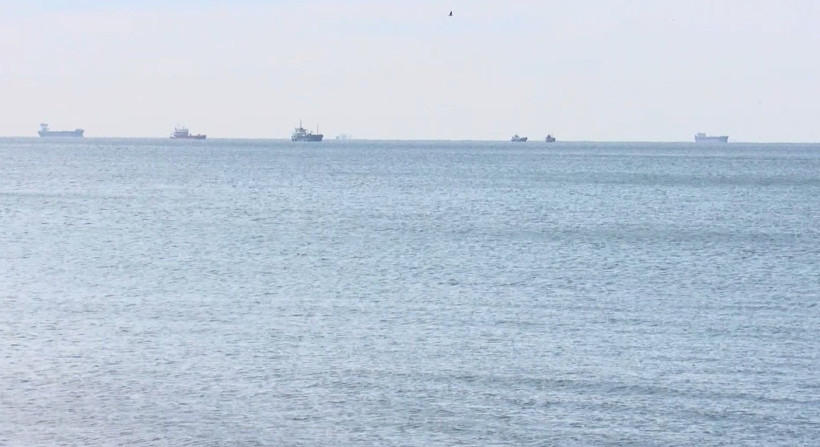 Marmara Denizi'nde bulunan yabancı türlerin tehlikeli olduğunu ve artık bu türlerin pazarlarda da satılmaya başladığını söyleyen uzmanı uyardı! - Resim: 5