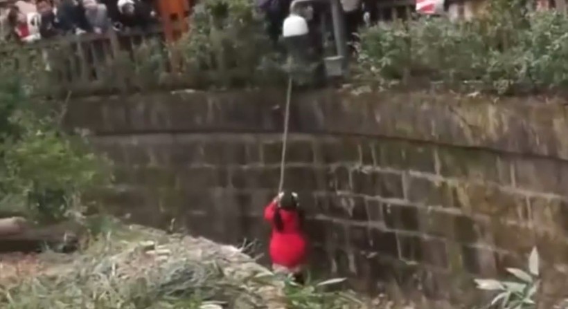 Aslan kafesine köpek bırakılırsa ne olur? Ziyaretçiler korku dolu gözlerle o anları izledi - Resim: 19