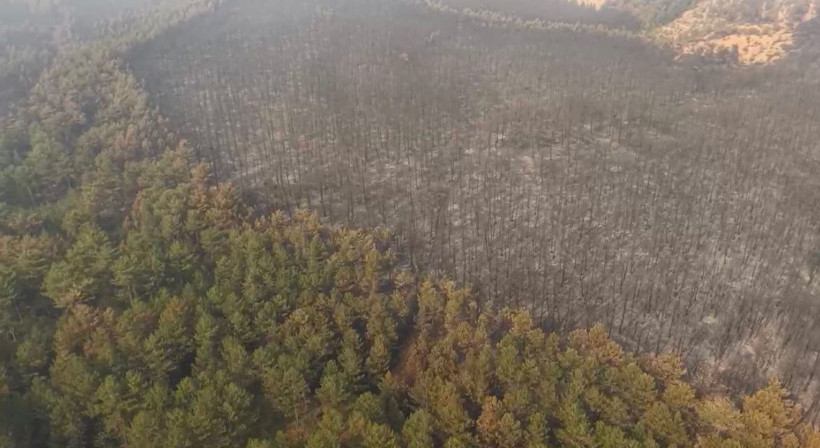 Bursa'daki orman yangını 4'üncü gününde; yanan alanlar dronla görüntülendi - Resim: 7