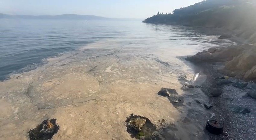 Gemlik Körfezi’nde alarm çalıyor: 50 kilometrelik kıyı kullanılamaz halde - Resim: 4