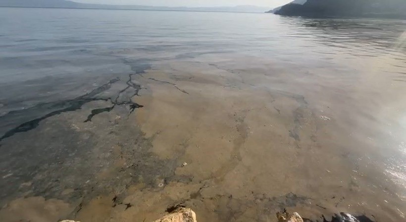 Gemlik Körfezi’nde alarm çalıyor: 50 kilometrelik kıyı kullanılamaz halde - Resim: 2