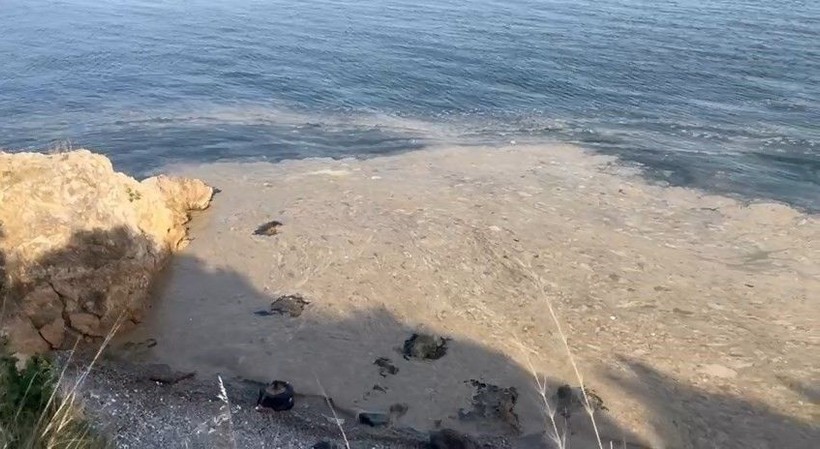 Gemlik Körfezi’nde alarm çalıyor: 50 kilometrelik kıyı kullanılamaz halde - Resim: 1
