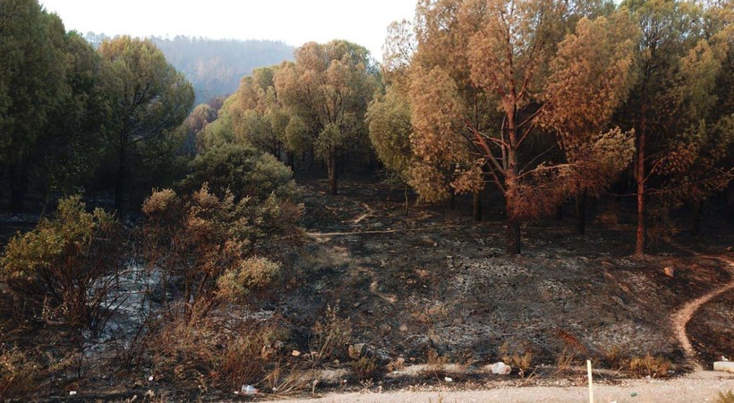 İzmir'deki yangın felaketinin bilançosu gün ağarınca ortaya çıktı - Resim: 7