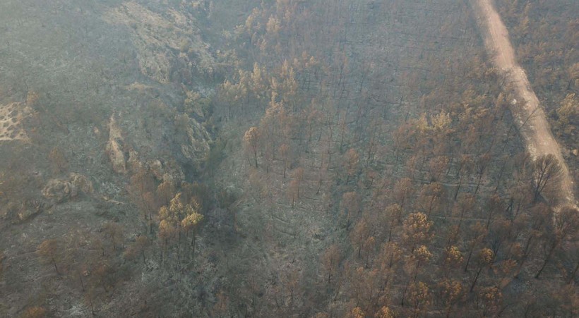 İzmir'deki yangın felaketinin bilançosu gün ağarınca ortaya çıktı - Resim: 4