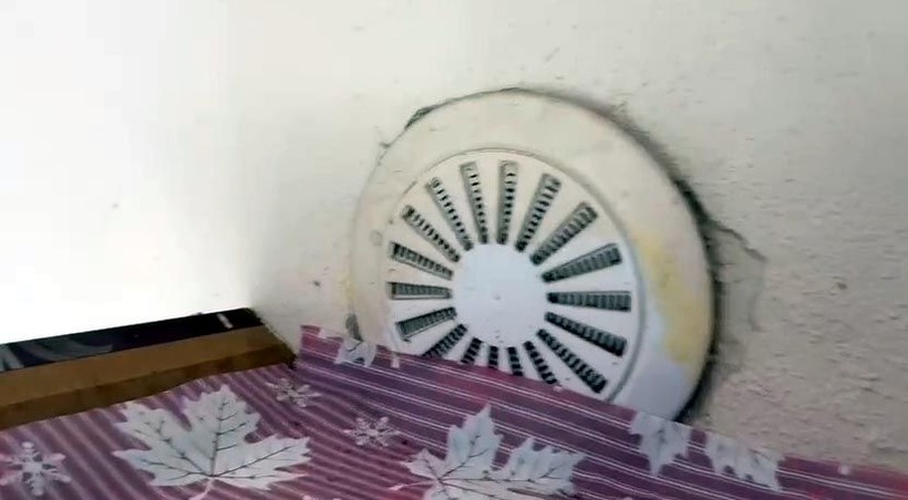 Cüce kargalar, inekten kopardıkları tüylerle yuva yaptı - Resim: 5