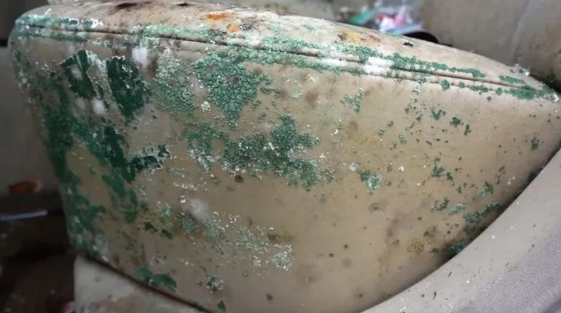 Sahibi tarafından çürümeye terk edilen dünyanın en kirli aracını böyle temizledi! Milyonlar o anları izledi - Resim: 1