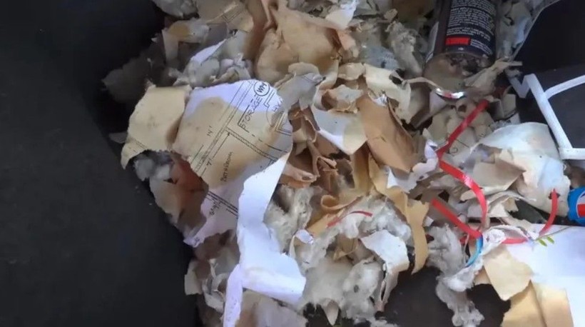 Sahibi tarafından çürümeye terk edilen dünyanın en kirli aracını böyle temizledi! Milyonlar o anları izledi - Resim: 8