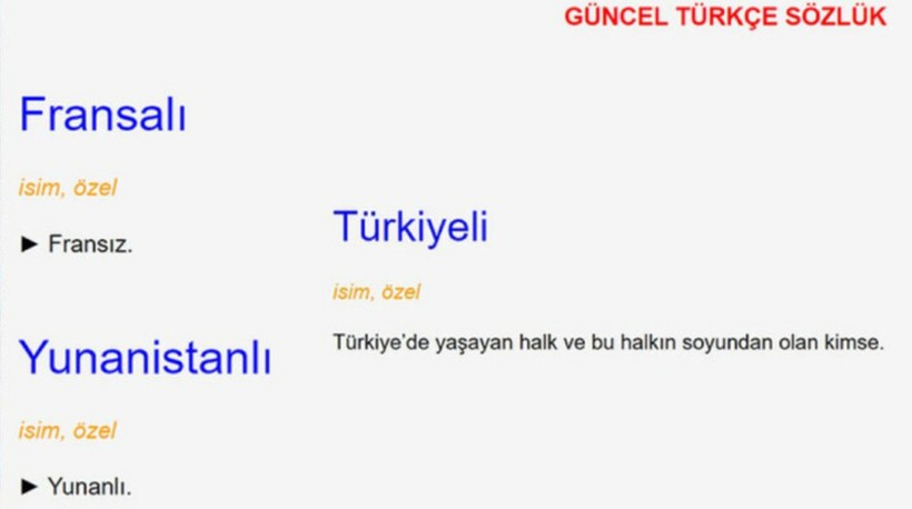 TDK'dan 'Türkiyeli' açıklaması: İnceleme başlatıldı - Resim: 2